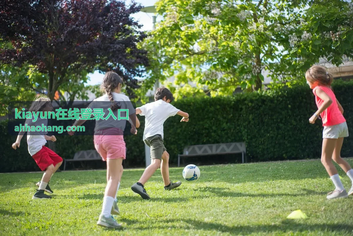 kiayun在线登录入口 长期未登录场景配图